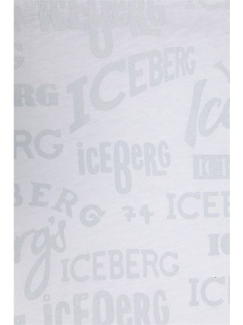  ICEBERG | TSICE3110B BBI